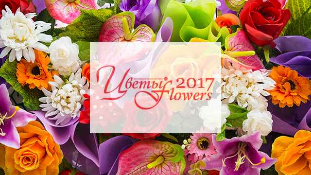 Телеканал «Бобёр» выступает генеральным ТВ-партнёром выставки «ЦВЕТЫ/FLOWERS-2017»